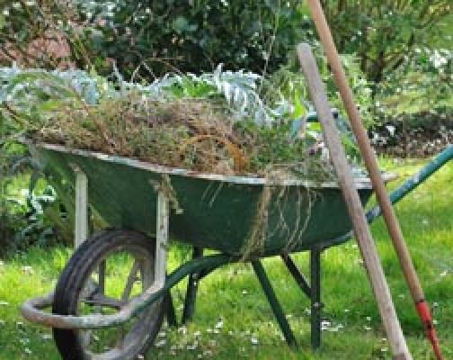 Gartenabfälle - Bäume oder Sträucher beschneiden, Unkraut entfernen oder die Beete pflegen. Jede Gartenarbeit hinterlässt Abfälle. Besonders im Frühjahr und Herbst fällt eine Menge Grünabfall an, die aus Platzgründen nicht in den Hausmüll passen oder nicht kompostierbar sind. Dafür kann man die Gartenabfälle ganz einfach mit einem "Der Sack" Big Bag entsorgen. In dem 1m³ Gartenabfall "Der Sack" Big Bag passen ungefähr 300 kg Grünschnitt mit zwei kleinen Bäumen. Bitte beachten: Durch zerkleinern der Gartenabfälle, kann der "Der Sack" Big Bag komplett befüllt werden!